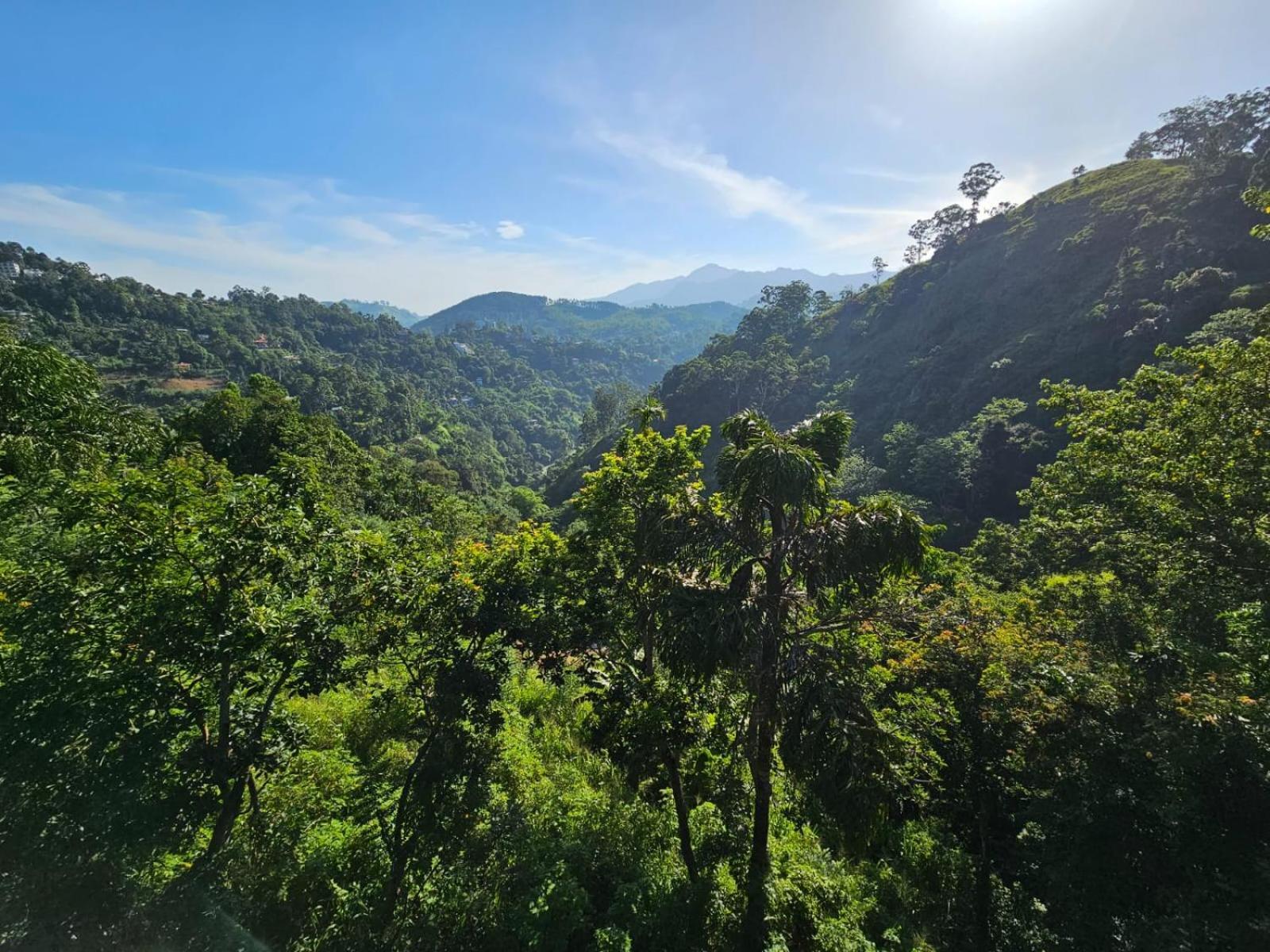 Enthral View Homestay Ella Buitenkant foto